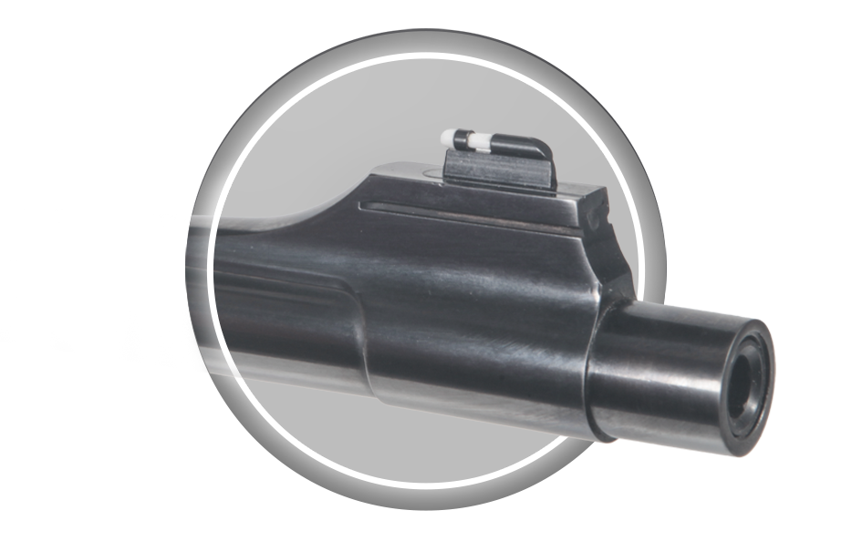Open Sights Fitting